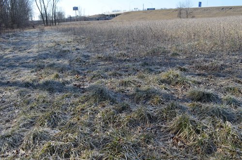 Property photo 19 - East Allen County - 55 Acre Land Auction